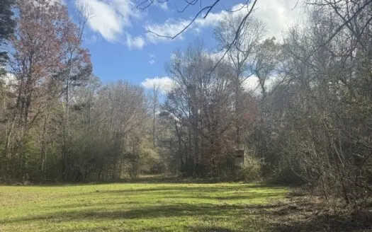 South Mississippi Hunting Land for Sale in Walthall County