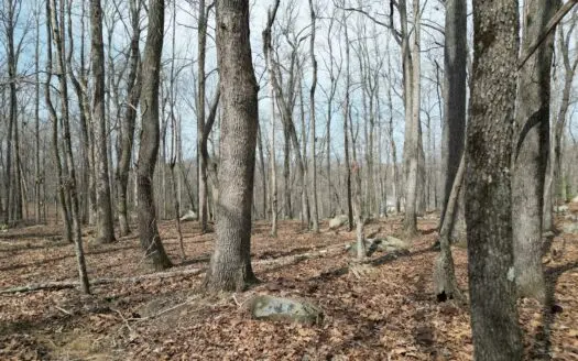 Building Lot In Davidson County Near High Rock Lake