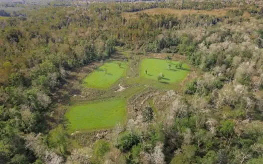 463 Acres Timberland on Tickfaw River St Helena Parish, LA