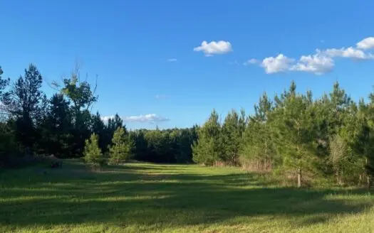 Hunting and Recreational Land for Sale in Amite County, Miss