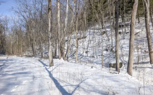 Tract 17 Hunting Land with Creek in Belmont County Ohio