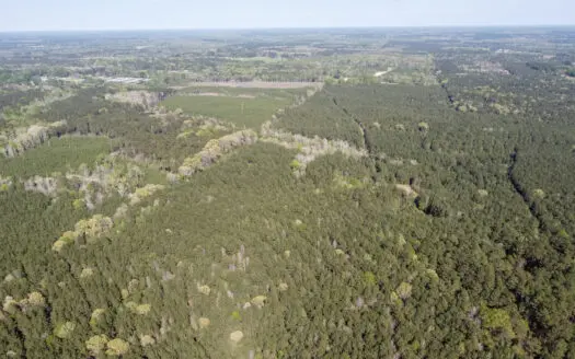 Longstraw 37 (Tract 3) Jackson Parish Timberland