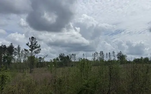 14 +/- acres cleared land – Home site or mobile home opportunity