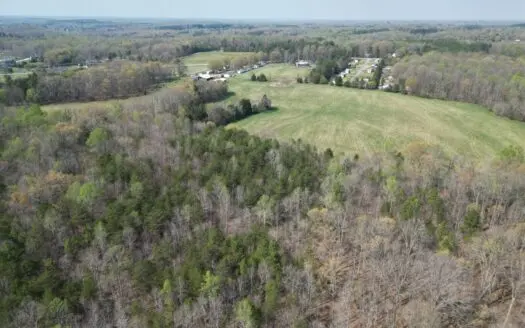 10 Acres Wooded Land In Davidson County