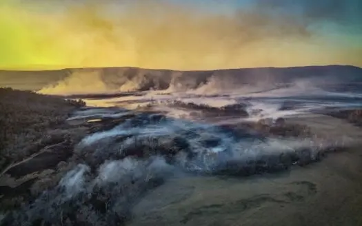 50 acres +/- For Sale Near Kiamichi River!