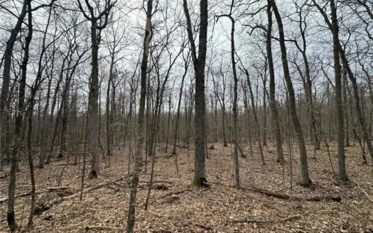 7.5 Acres For Sale in Willow River, Minnesota