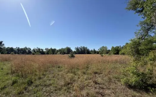 40 Ac – Diverse Habitat – Near Suwannee River – Big Bucks