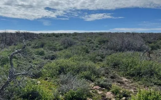 Land For Sale in Dove Creek, CO!