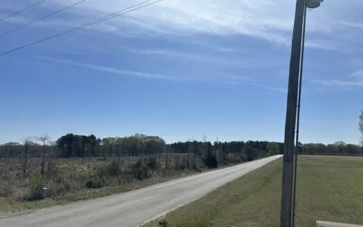 Prime Drew County Timberland Investment Property