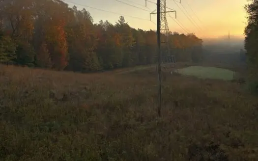 Hunting Land for Sale Pauline SC