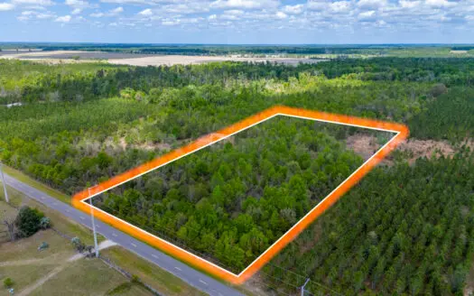 5-Acre Wooded Retreat: No Restrictions Near Suwannee River