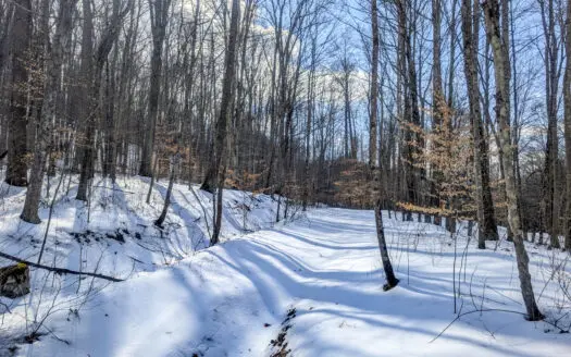 Tract 15 Beaver Pond and Hunting Beauty in Washington County