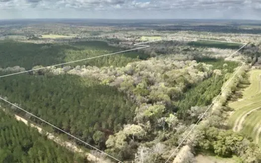 122-Acre Recreational Land in Holmes County, FL for Sale
