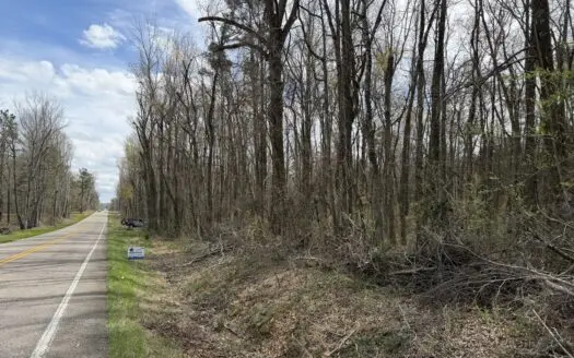 Wooded Land For Sale In Hardin County Tn