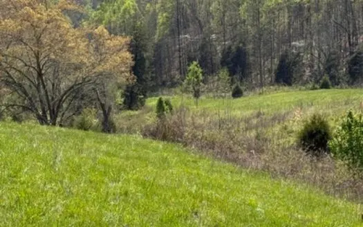 65 Acres with barn for Sale in Hawkins County, Tennessee