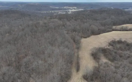 Secluded Hunting and Timber Tract in Noble County Tract 14