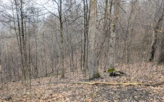 Tract 9 45± Acres Monroe County Recreational
