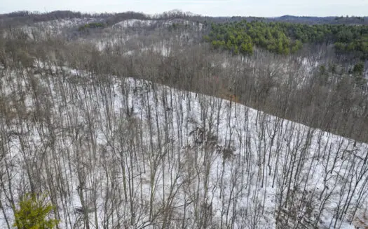 Tract 17 Hunting Land with Creek in Belmont County Ohio