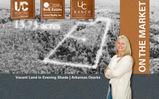 Vacant Land with Utilities for sale in the Arkansas Ozarks