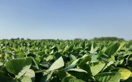 Income Producing Farm in Osage County Kansas