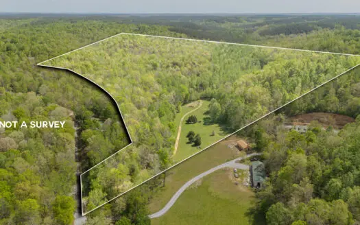 Large Recreational Tract for Sale in Linden, TN