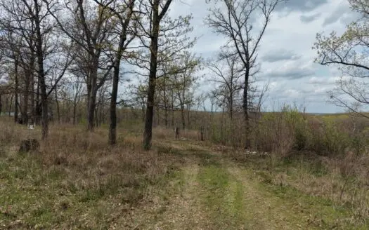 Land For sale in St. Clair County Missouri