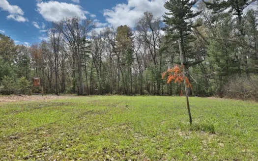 3.6-Acre Wooded Build Site & Hunting Land for Sale Near Tomah, Wi