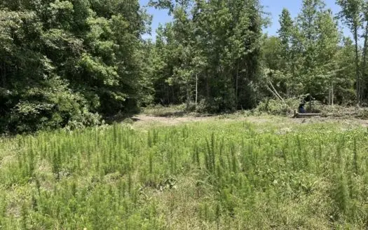 70 acres of Hunting Land with metal shop or Barndominium