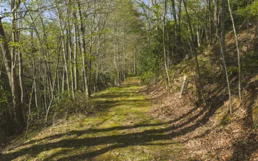 Recreational Acreage for Sale in Floyd County