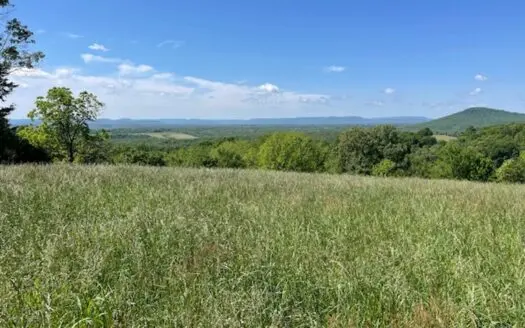 Ozarks Mountain Top Homestead With Well