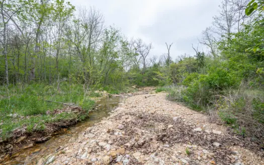 29 Acres of Prime Hunting Land in the Missouri Ozarks | Hartville