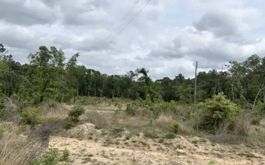 ±92 Acres Hunting & Timber Land in East TX