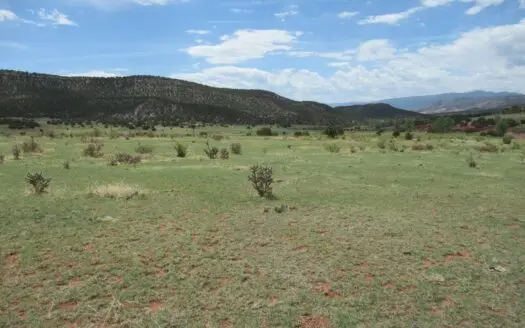 Colorado Mountain Land Bordering Blm Over 3500′ In Canon City