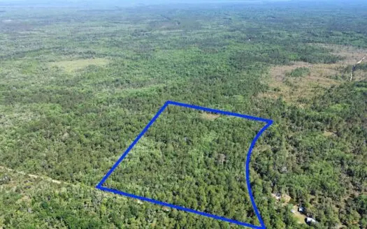 Tiger Island Sportsman’s Club | Levy County, FL | 40–192 Acres