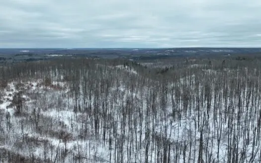 100 Acres in Atlanta, MI – Prime Hunting Land with Road Frontage
