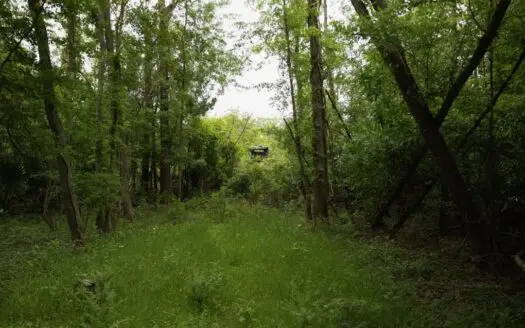385 Acres Pearl River Frontage Louisiana