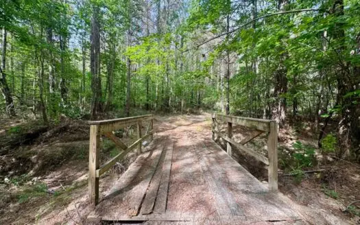 Private +/- 62.2 Acres with Shop, Utilities & Prime Hunting