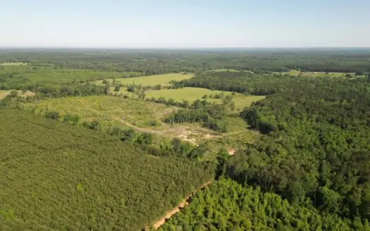 ±92 Acres Hunting & Timber Land in East TX