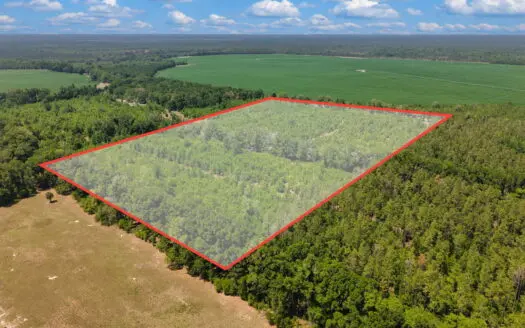 20 Acres in Branford, FL for Hunting, Recreational or Homesite
