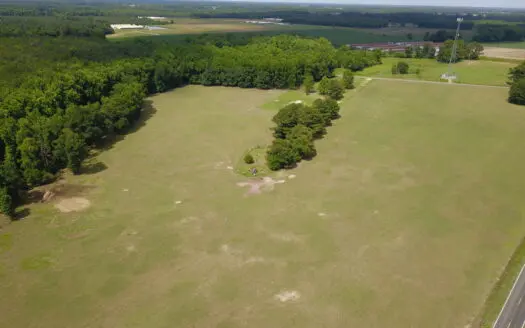 58 Acre Mixture of Pasture Land and Pine Plantation