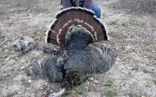 Hunting and Cattle Ranch in San Saba County, Texas