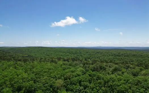 Mountain Land in Albion, Oklahoma for Sale