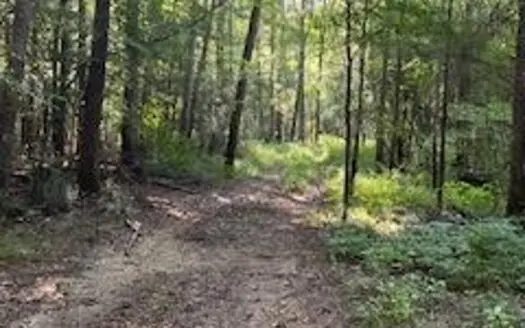 Riverfront Property For Sale Lincoln County Brookhaven, MS