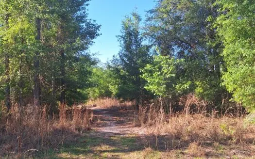 20 Acres in Branford, FL for Hunting, Recreational or Homesite