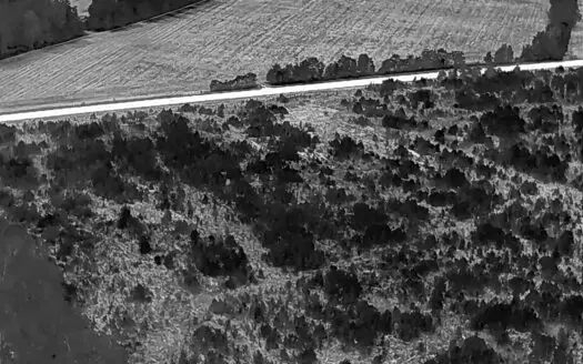25 acres in Denmark on Voorhees Hwy