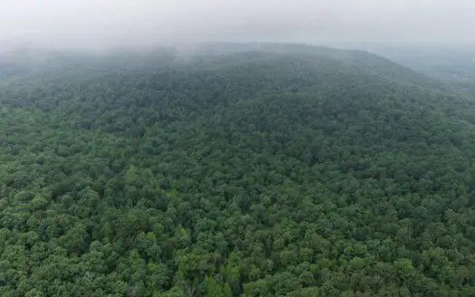 Hunting Land For Sale In North Central Arkansas