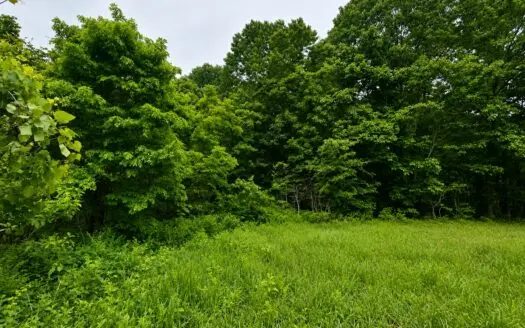 Small acreage for sale in Missouri