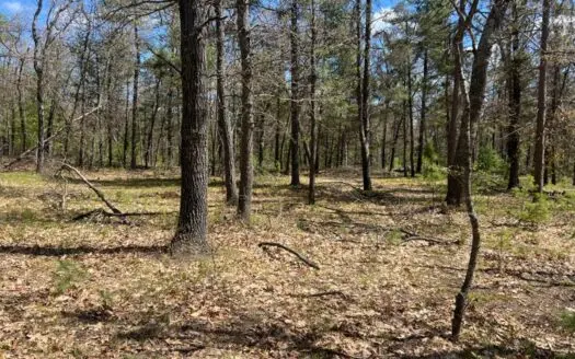 Buildable Property near Avalon Lake Hillman MI