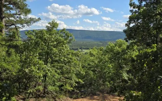 Country Home Site and Recreational Property – For Sale