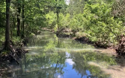 21 +/- Acre Property w/ Ouachita National Forest Frontage
